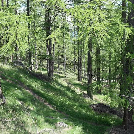 3-schlafzimmer Eichhorn****, Fee 1800m * Saas Fee