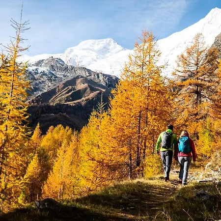 3-schlafzimmer Eichhorn****, Fee 1800m Domek alpejski Saas-Fee