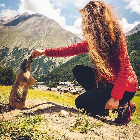 Alpehytte 3-schlafzimmer Eichhorn****, Fee 1800m